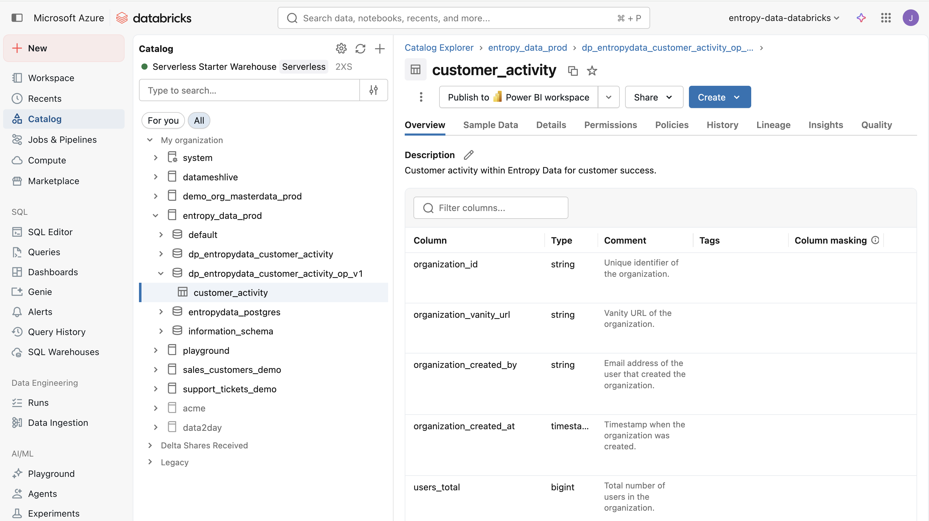 The customer_activity table materialized in Databricks, showing columns like organization_id, organization_vanity_url, and users_total.
