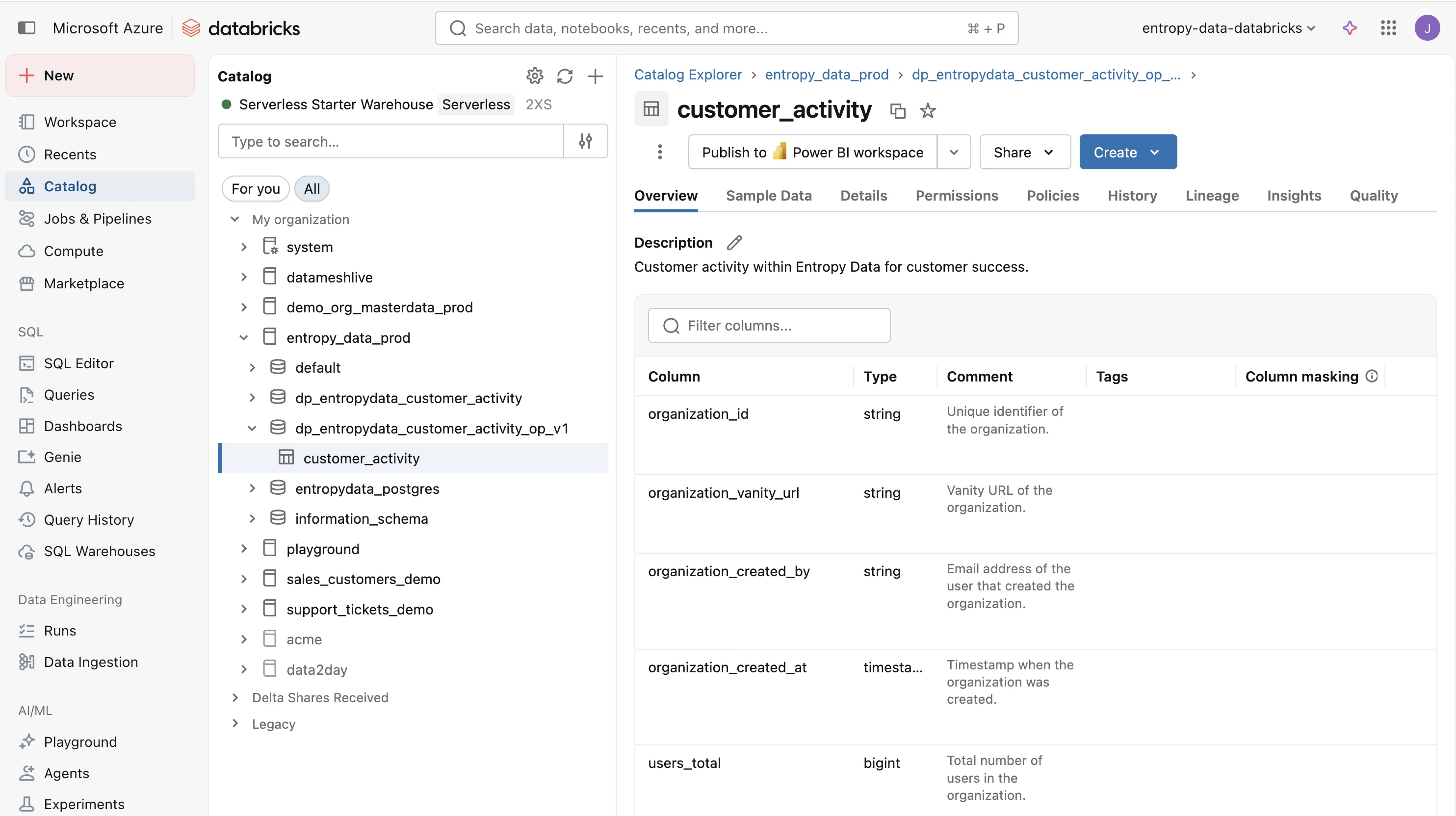The customer_activity table materialized in Databricks, showing columns like organization_id, organization_vanity_url, and users_total.