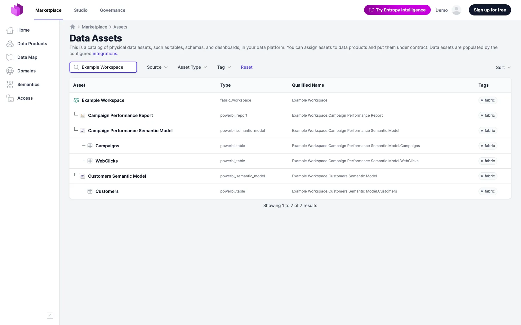 Workspaces, semantic models, reports and tables in the Entropy Data asset catalog